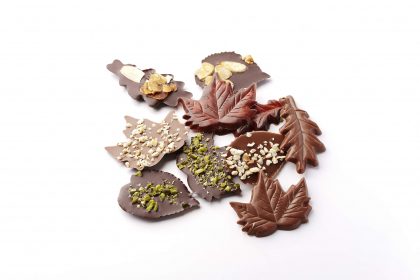 Feuilles d'Automne