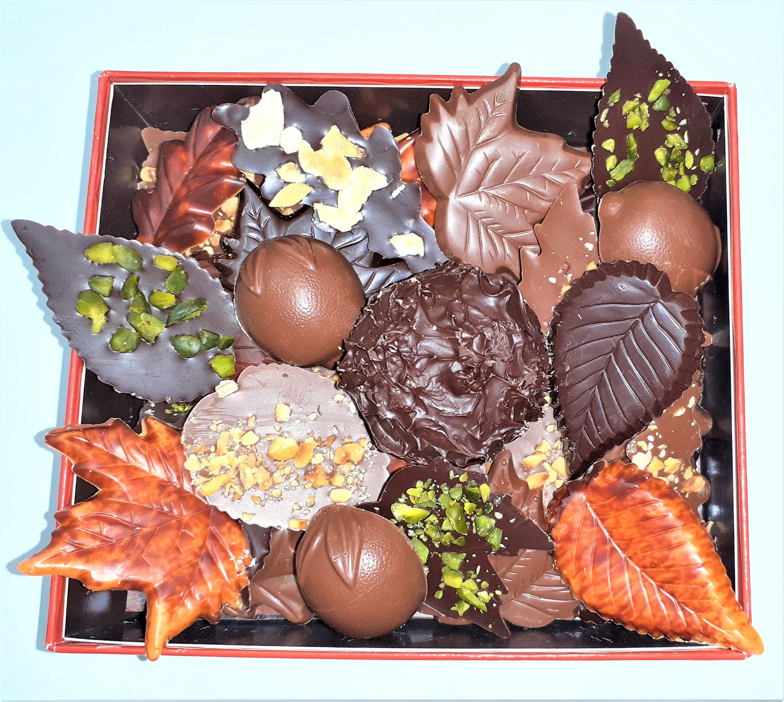 Feuilles d'Automne – Image 3