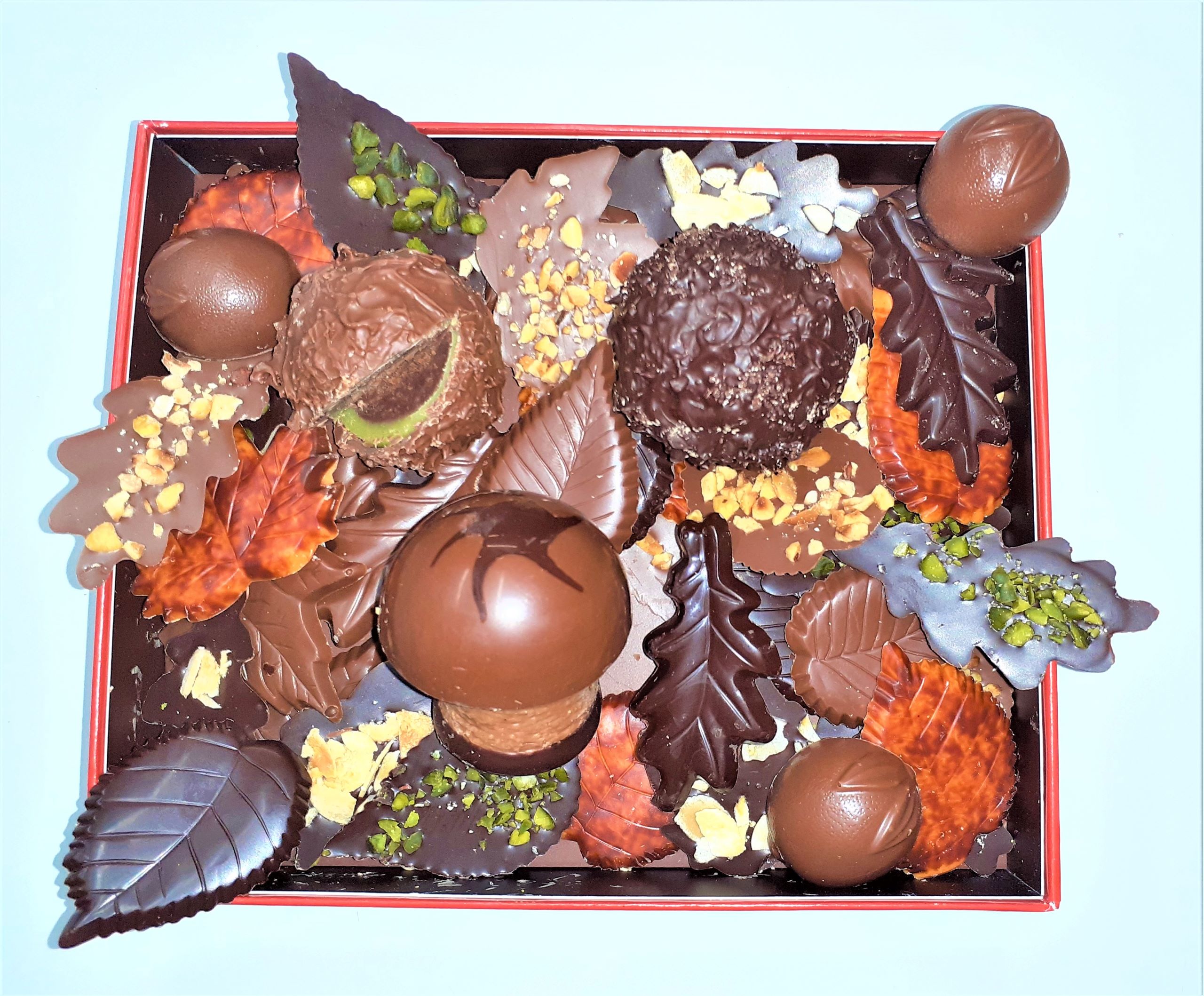 Feuilles d'Automne – Image 4